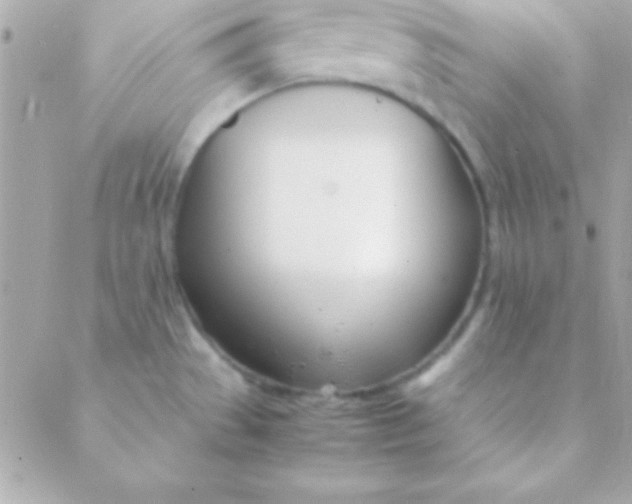 X0000088661529200706152020