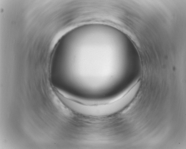 X0000088661530200706152020