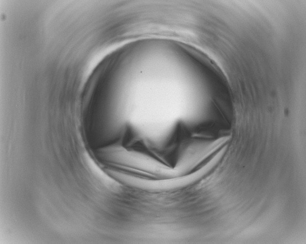 X0000088661531200706152020