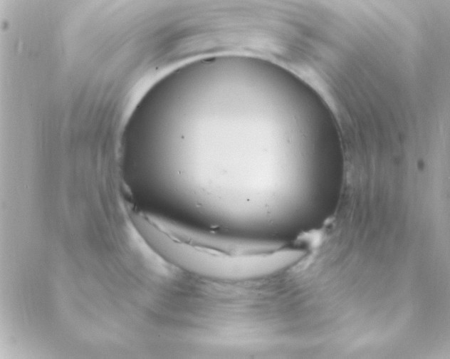 X0000088661532200706152020