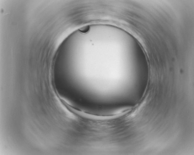 X0000088661533200706152020