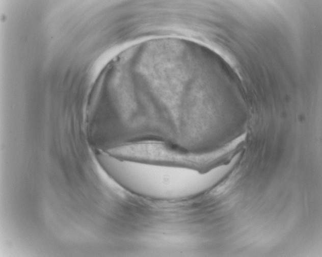 X0000088661535200706152020