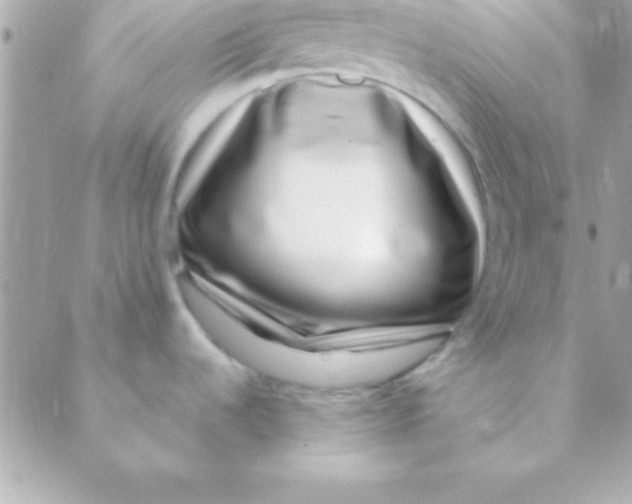 X0000088661536200706152020