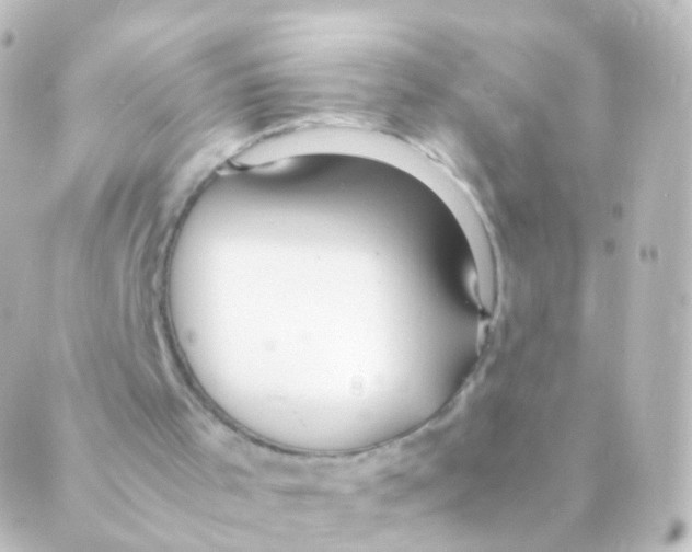 X0000088660001200706221647