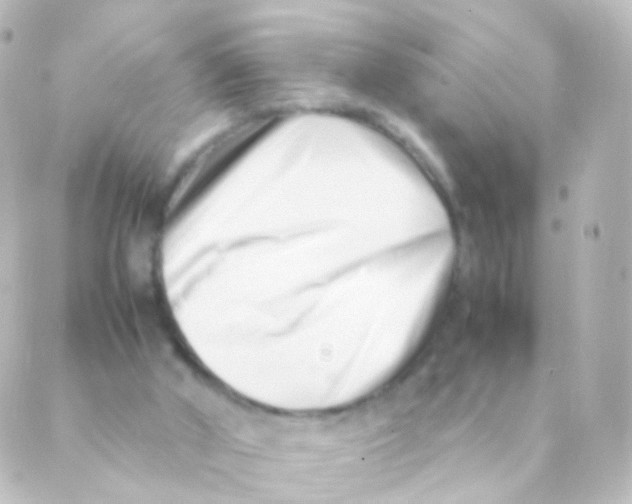 X0000088660010200706221647