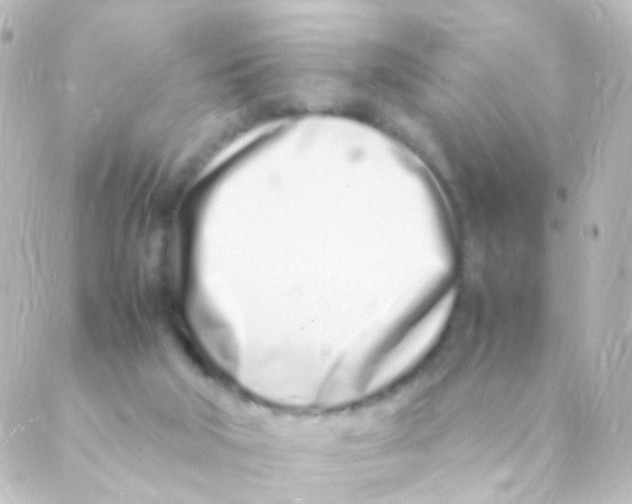 X0000088660018200706221647