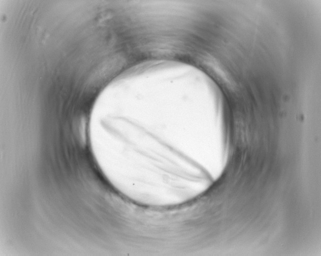 X0000088660022200706221646