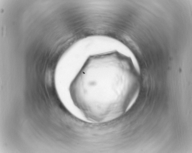 X0000088660026200706221646