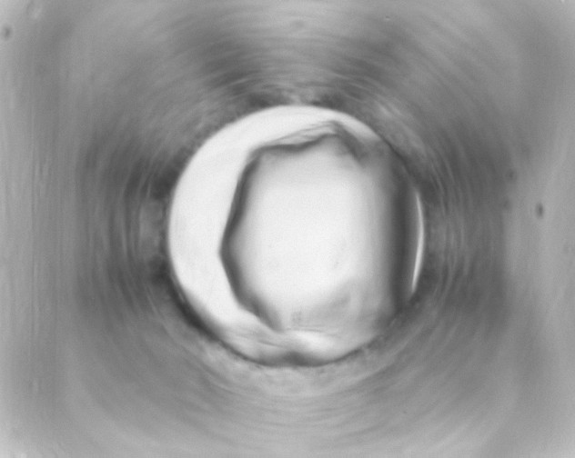 X0000088660030200706221646