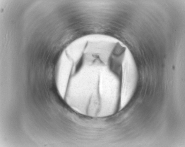 X0000088660032200706221646