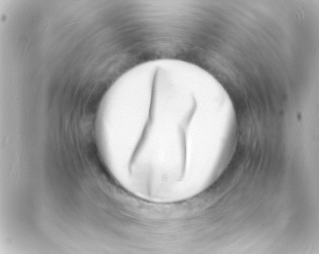 X0000088660034200706221646