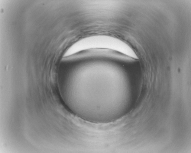X0000088660035200706221646