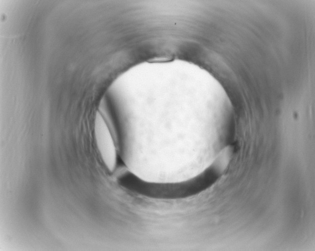 X0000088660037200706221646