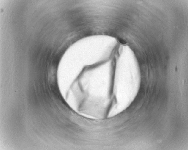 X0000088660038200706221646