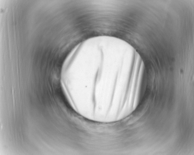 X0000088660040200706221646