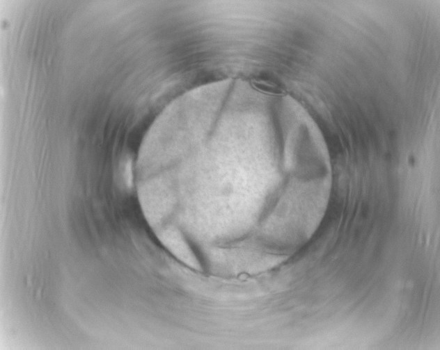 X0000088660042200706221646