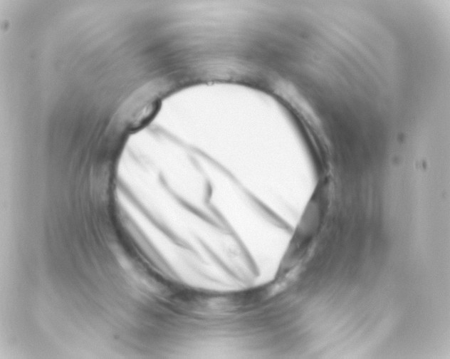 X0000088660058200706221645