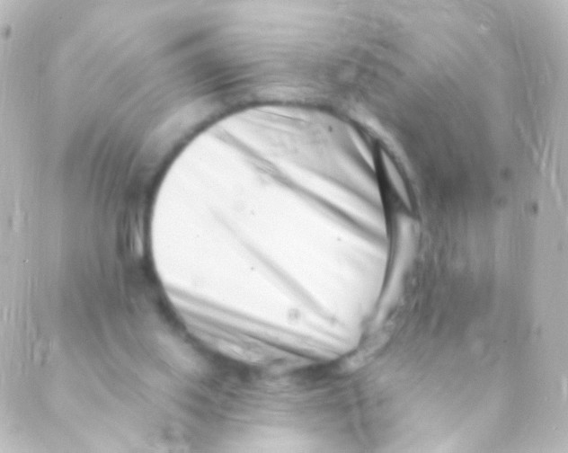 X0000088660062200706221645