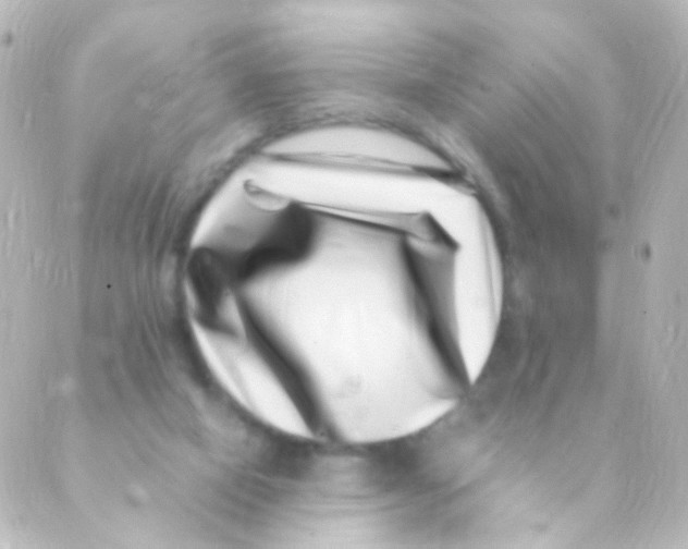 X0000088660066200706221646