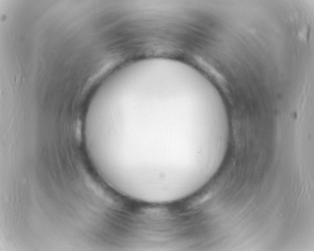 X0000088660067200706221646