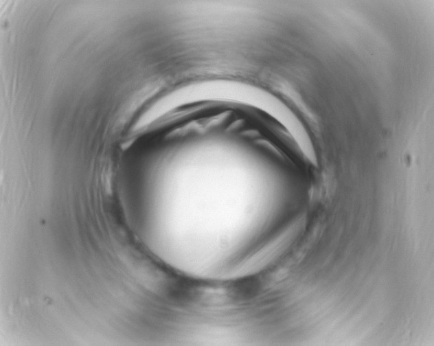 X0000088660068200706221646