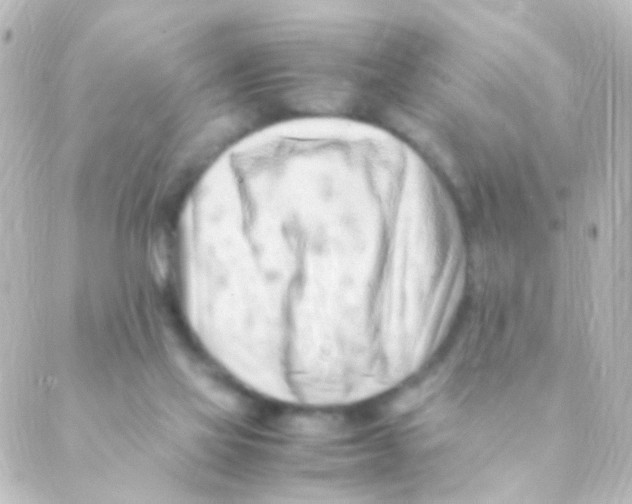 X0000088660069200706221646