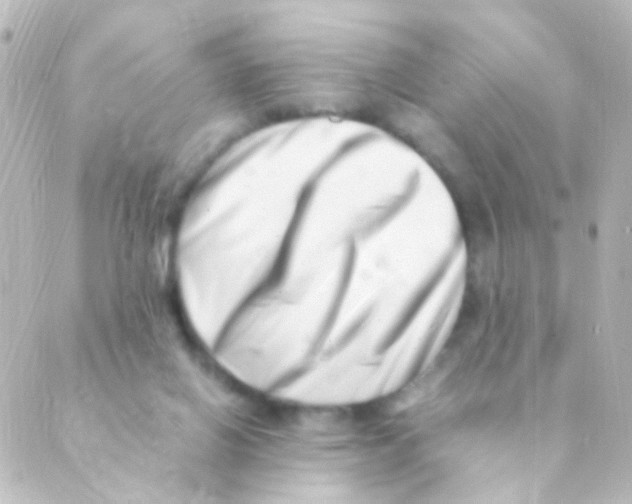 X0000088660070200706221646