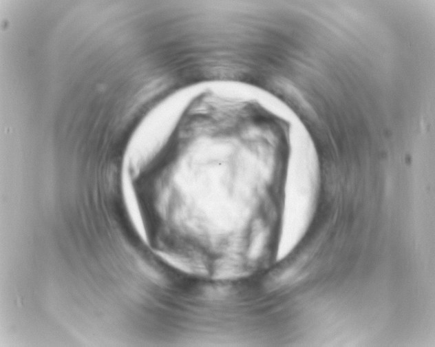 X0000088660071200706221646