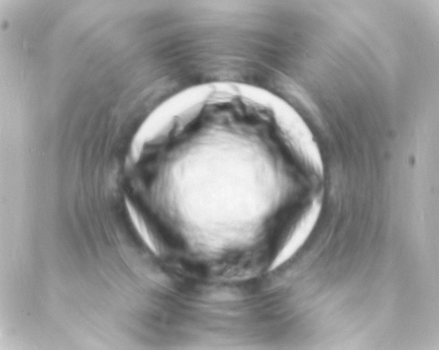 X0000088660073200706221646