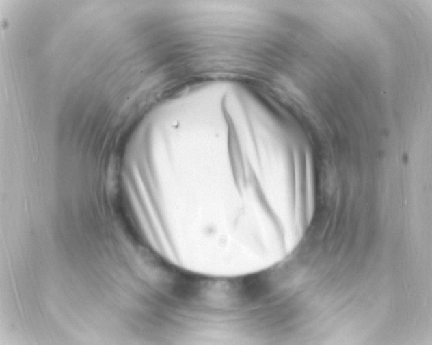X0000088660074200706221646