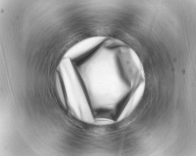 X0000088660075200706221646
