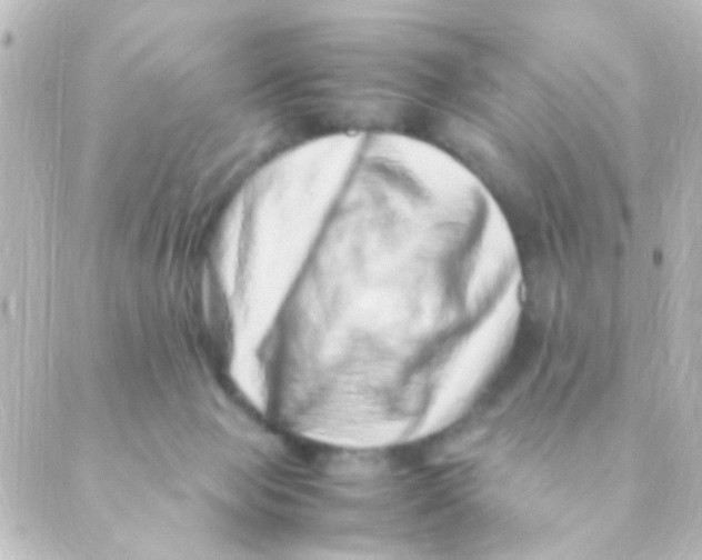 X0000088660077200706221646