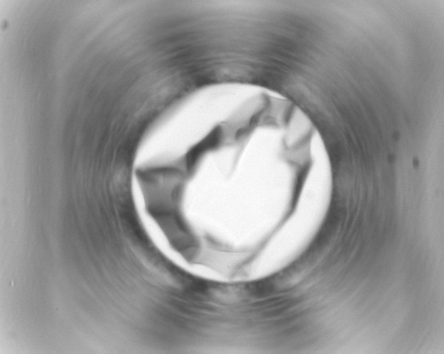 X0000088660079200706221646