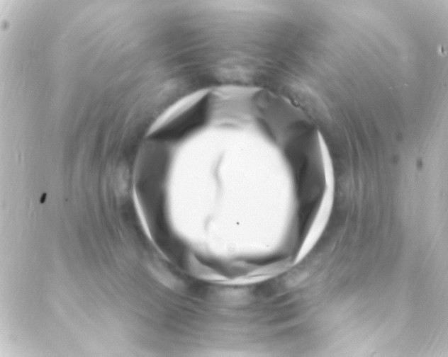 X0000088660081200706221646