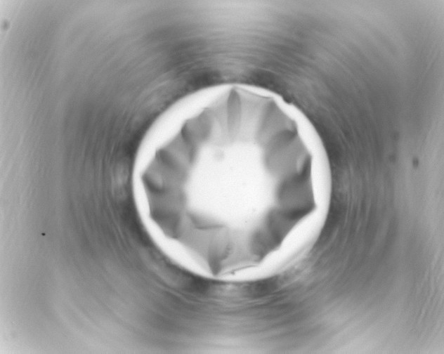 X0000088660082200706221646