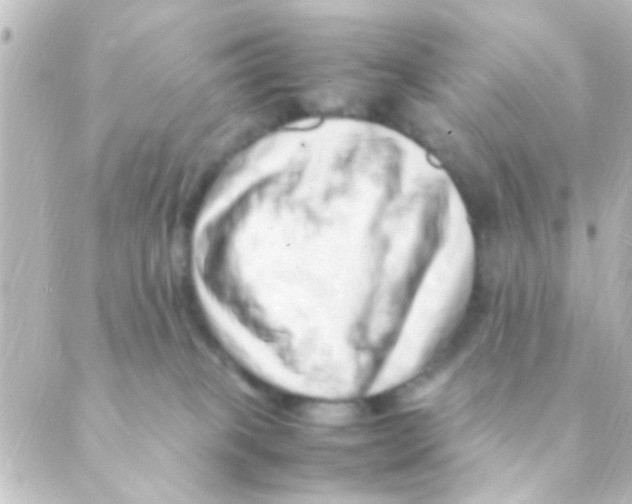 X0000088660085200706221646