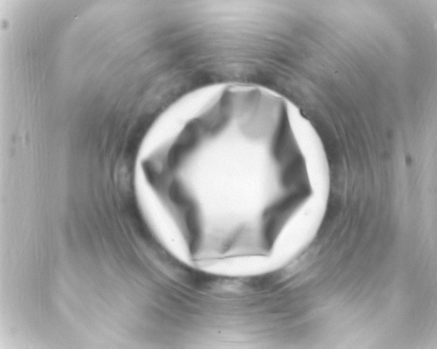 X0000088660086200706221646