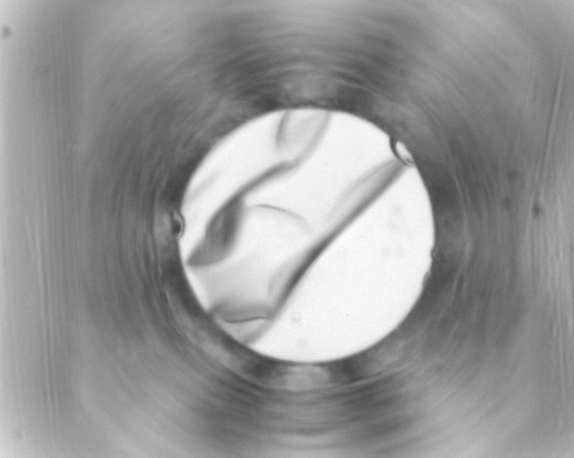 X0000088660087200706221646