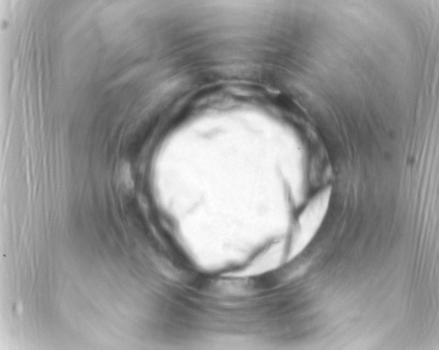 X0000088660089200706221646