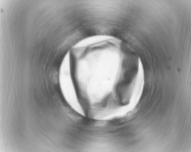 X0000088660090200706221646
