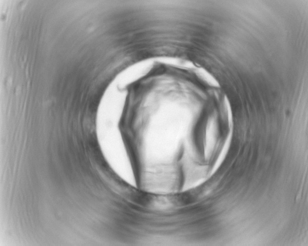 X0000088660091200706221646