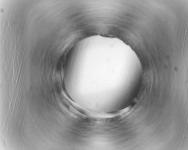 X0000088660092200706221646