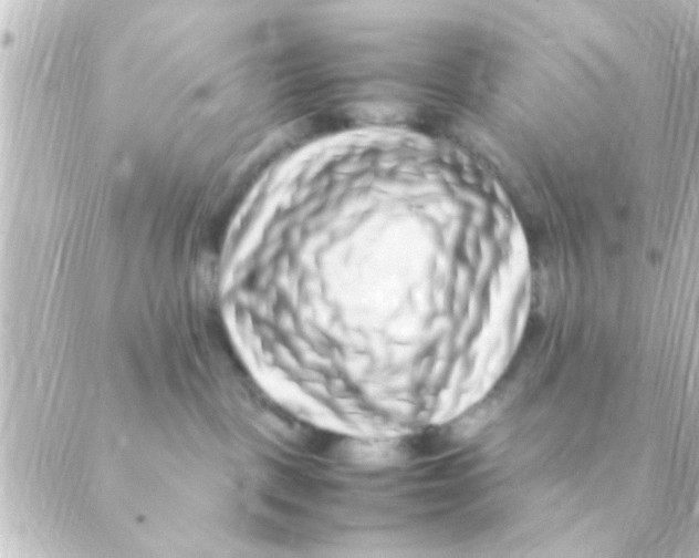 X0000088660093200706221646