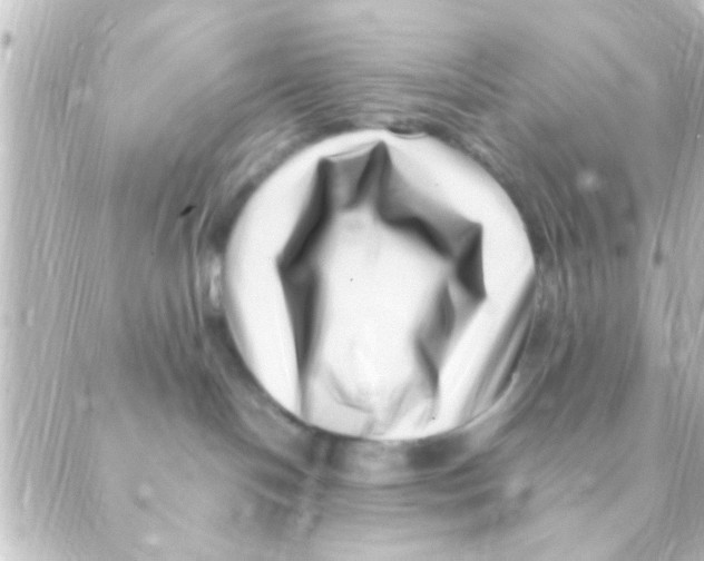 X0000088660094200706221646