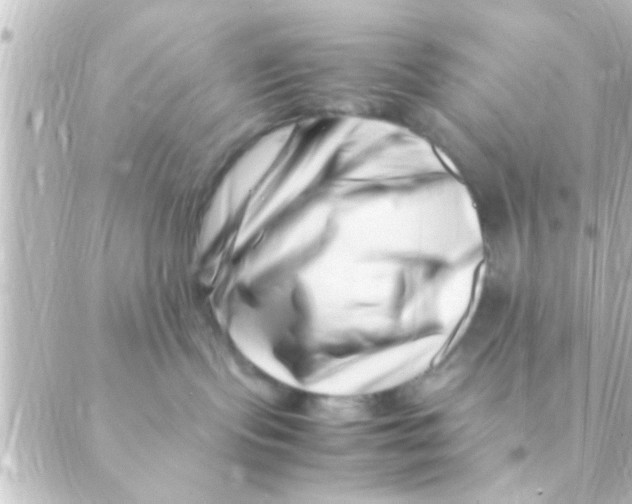 X0000088660095200706221646