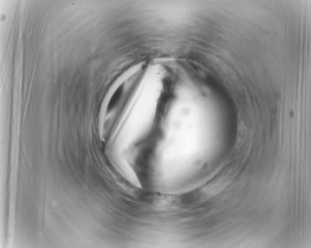 X0000088660096200706221646