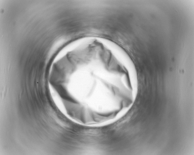 X0000088660102200706221645