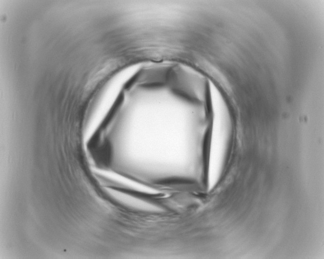 X0000088660105200706221645