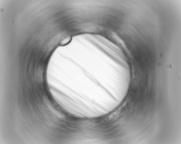 X0000088660106200706221645
