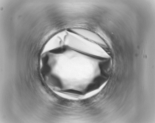 X0000088660107200706221645